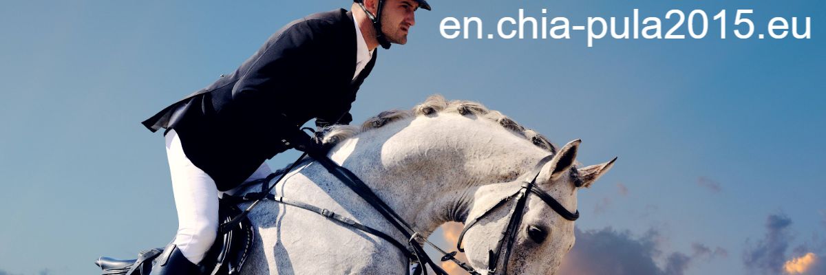 en.chia-pula2015.eu